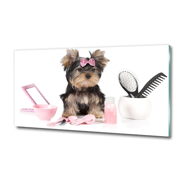 Foto glasbild Yorkshire Kosmetik