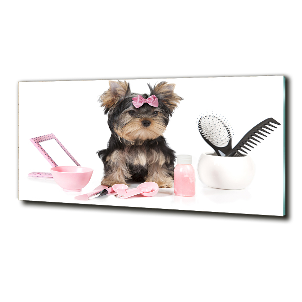 Foto glasbild Yorkshire Kosmetik