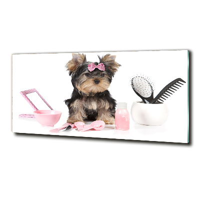 Foto glasbild Yorkshire Kosmetik