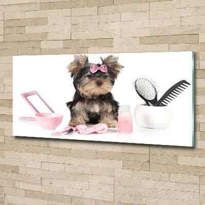 Foto glasbild Yorkshire Kosmetik