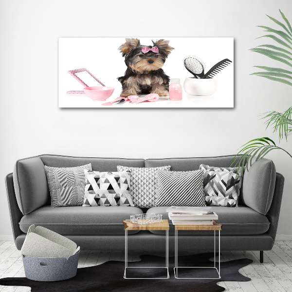 Foto glasbild Yorkshire Kosmetik