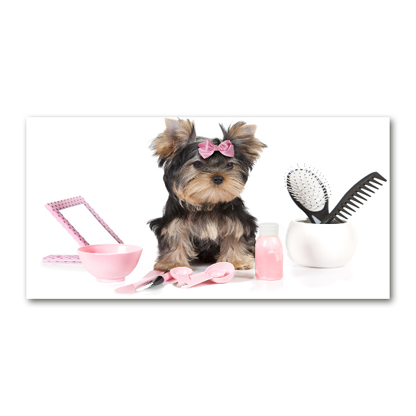 Foto glasbild Yorkshire Kosmetik