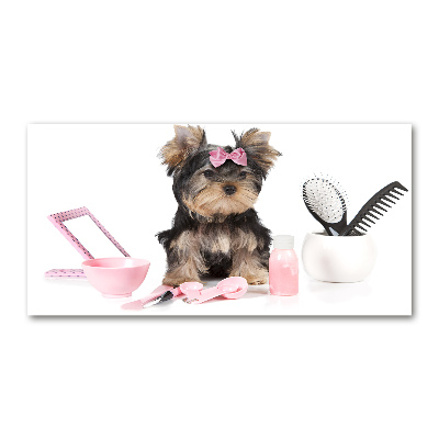 Foto glasbild Yorkshire Kosmetik