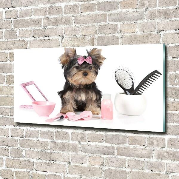 Foto glasbild Yorkshire Kosmetik