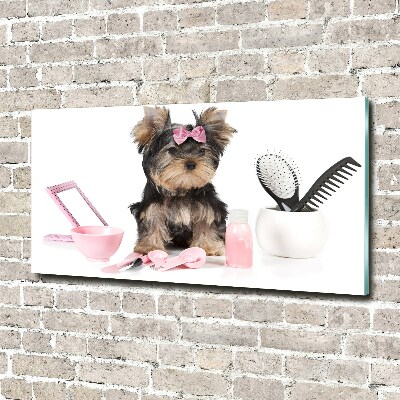 Foto glasbild Yorkshire Kosmetik