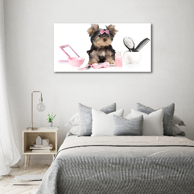 Foto glasbild Yorkshire Kosmetik