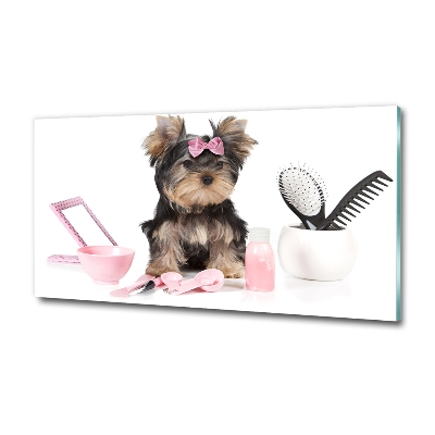 Foto glasbild Yorkshire Kosmetik