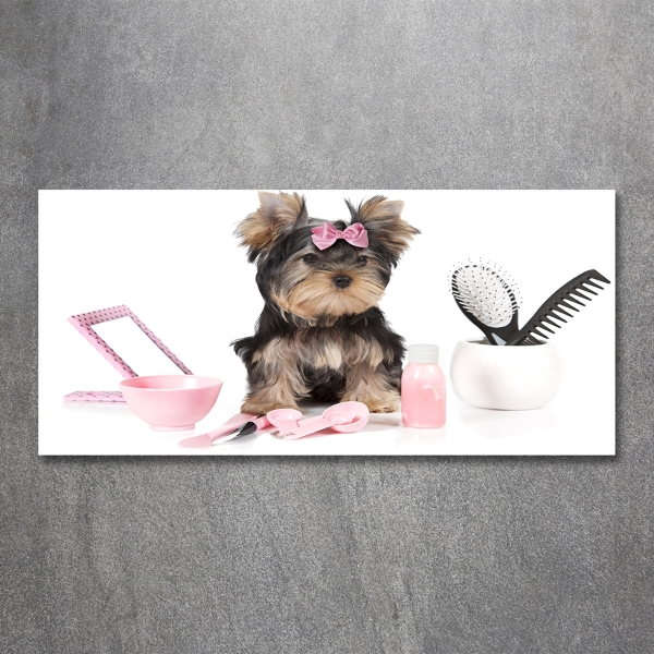 Foto glasbild Yorkshire Kosmetik