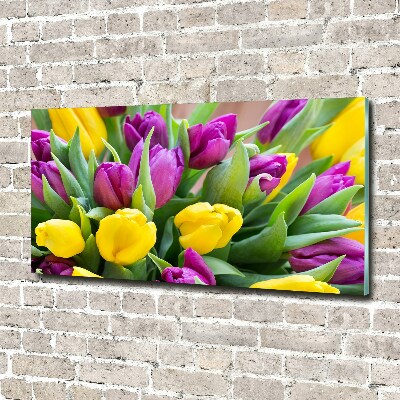 Foto glasbild Bunte Tulpen