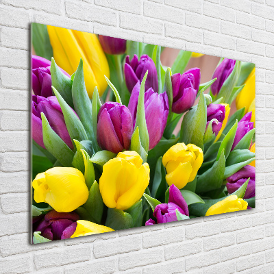 Foto glasbild Bunte Tulpen