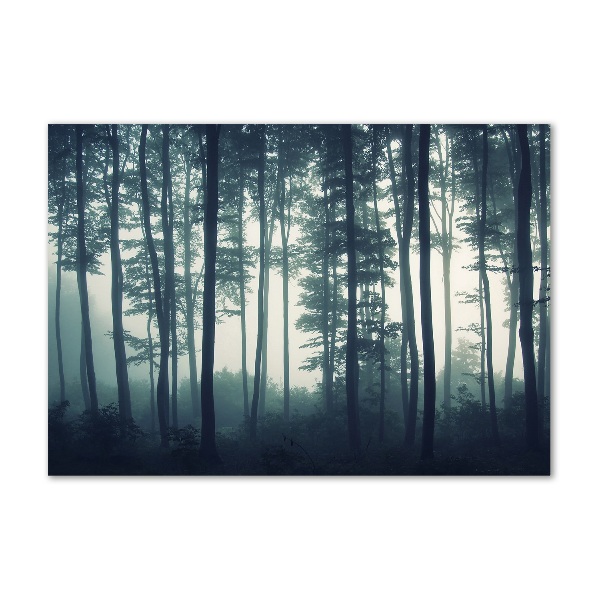 Bild auf glas Wald im Nebel
