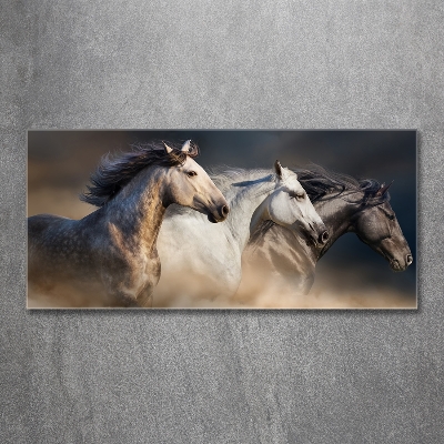 Bild auf glas Pferde im Galopp