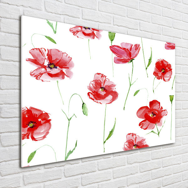 Foto glasbild Mohnblumen