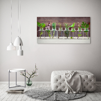 Bild auf glas Pflanzen in Gläsern