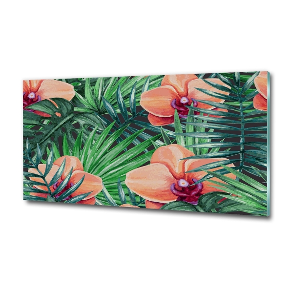 Bild auf glas Orchidee