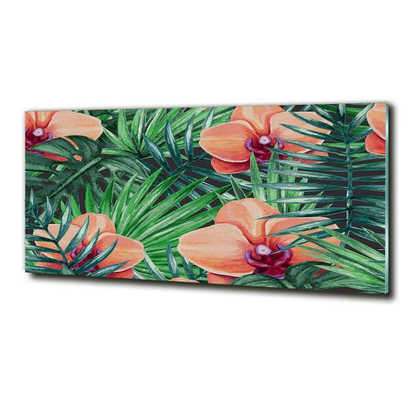 Bild auf glas Orchidee