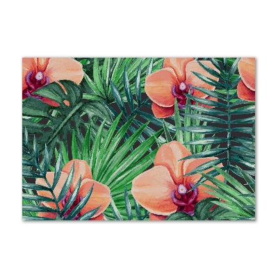 Bild auf glas Orchidee