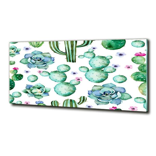Bild auf glas Kakteen