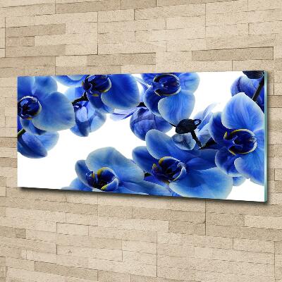 Foto glasbild Blaue Orchidee