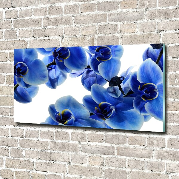 Foto glasbild Blaue Orchidee