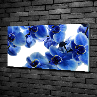 Foto glasbild Blaue Orchidee