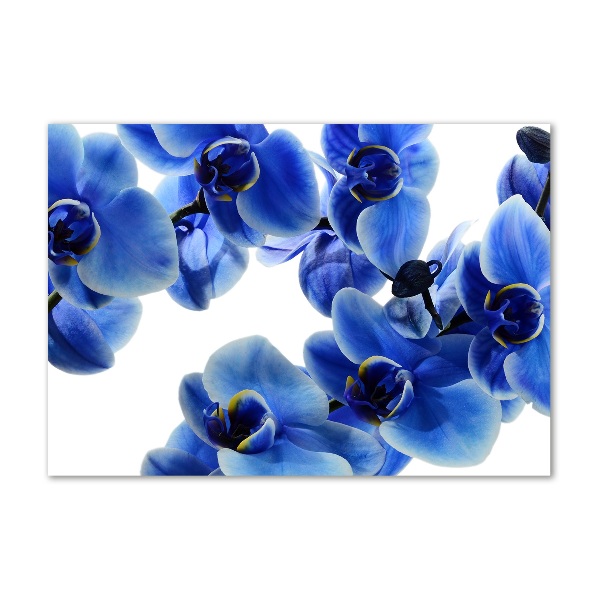 Foto glasbild Blaue Orchidee