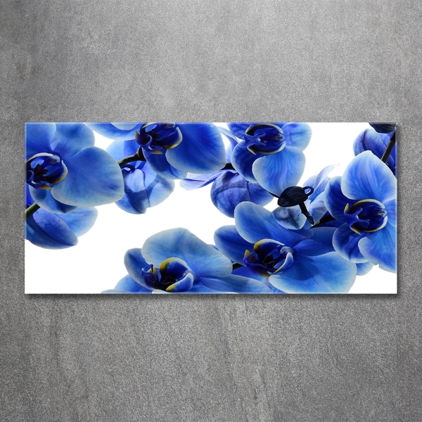Foto glasbild Blaue Orchidee