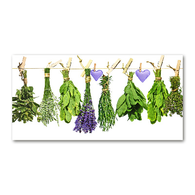 Glasbild Kräuter an einer Schnur