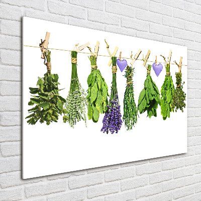Glasbild Kräuter an einer Schnur