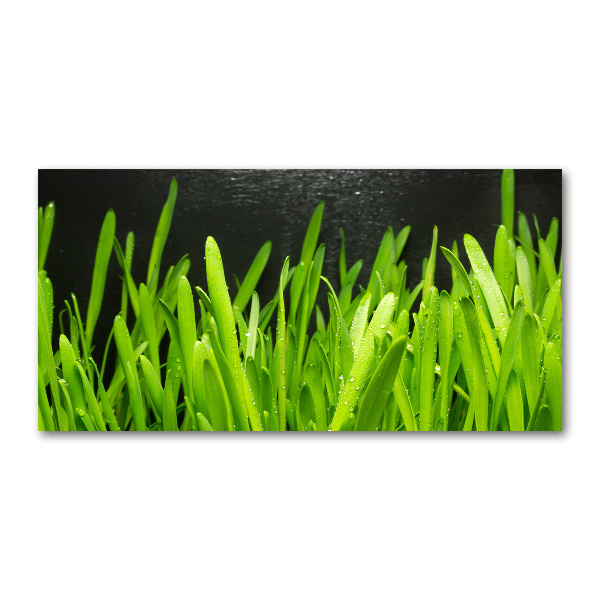 Bild auf glas Gras