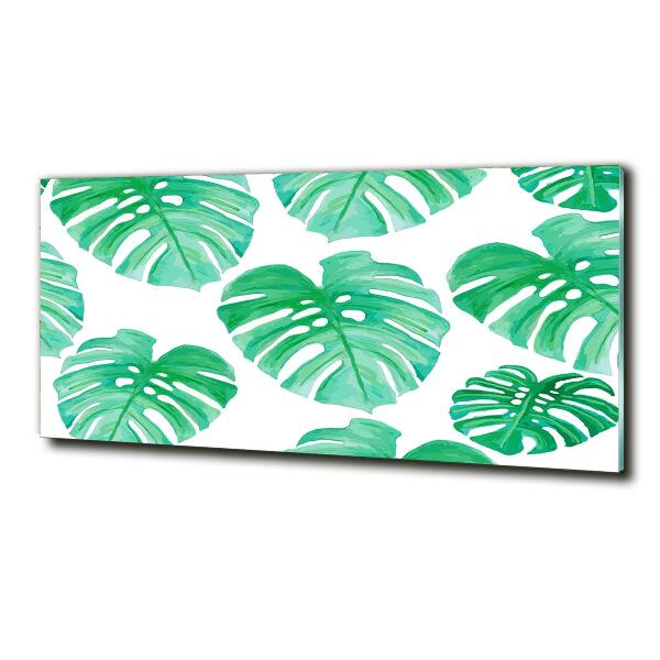 Glasbild Monstera