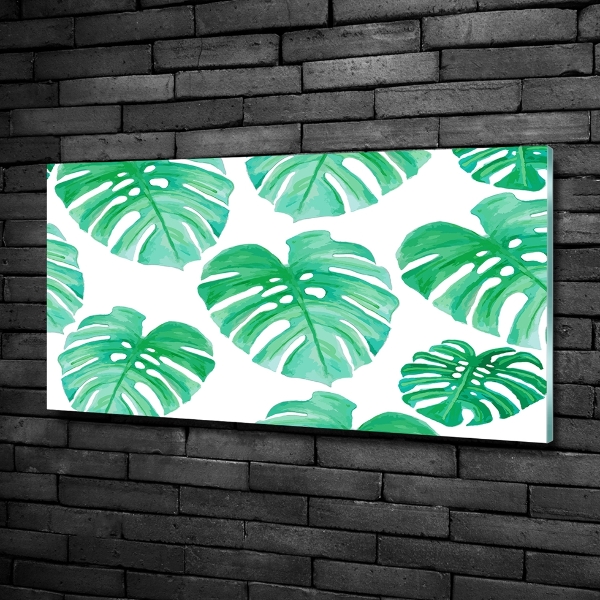 Glasbild Monstera