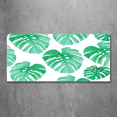 Glasbild Monstera