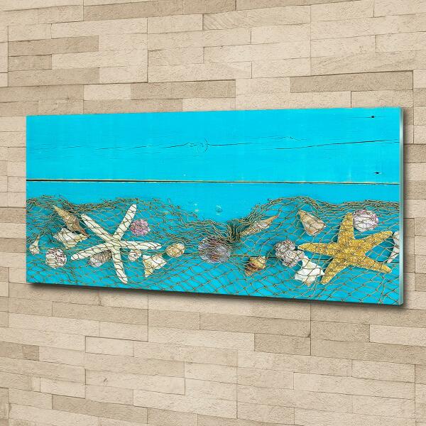 Bild auf glas Seesterne und Muscheln