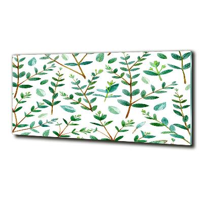 Foto glasbild Eukalyptus