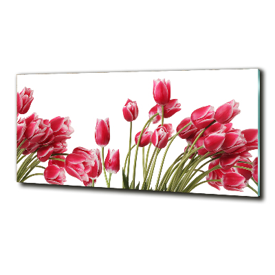 Bild auf glas Rote Tulpen