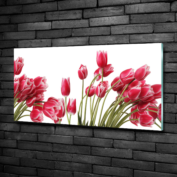Bild auf glas Rote Tulpen