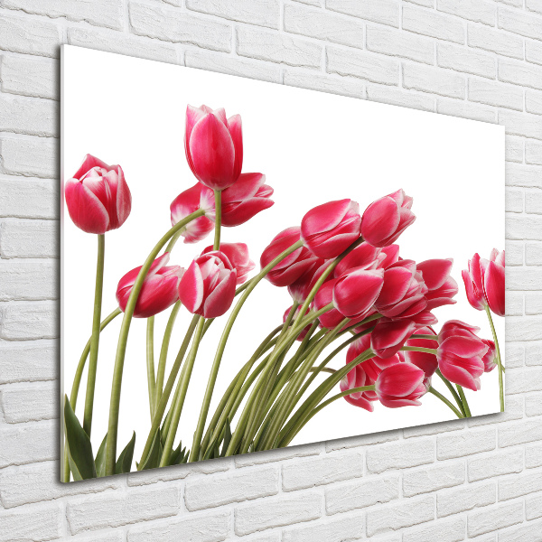 Bild auf glas Rote Tulpen