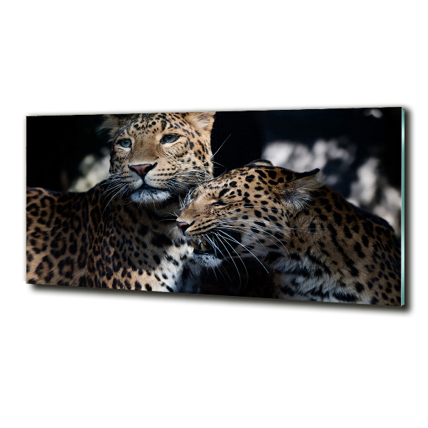 Foto glasbild Zwei Leoparden