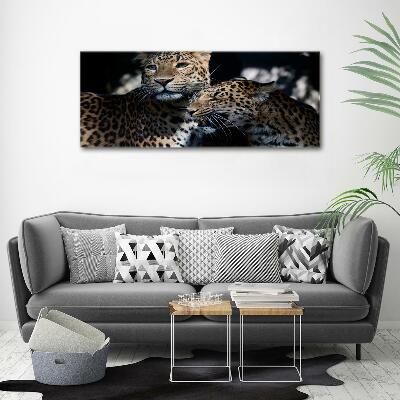 Foto glasbild Zwei Leoparden
