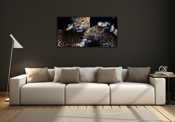 Foto glasbild Zwei Leoparden