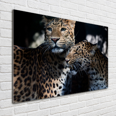 Foto glasbild Zwei Leoparden