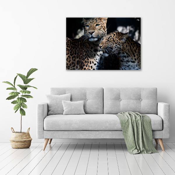 Foto glasbild Zwei Leoparden