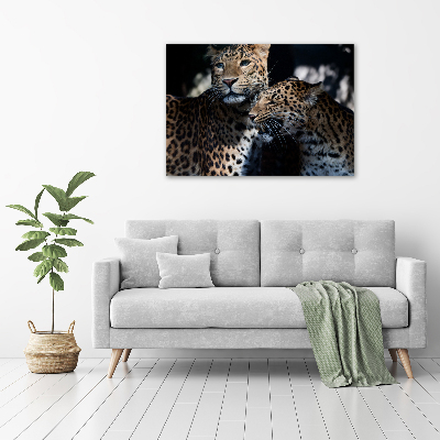 Foto glasbild Zwei Leoparden