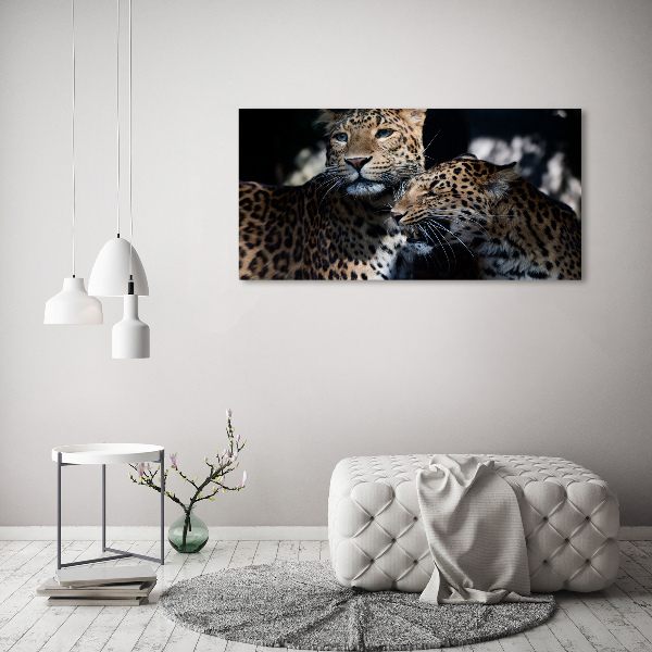 Foto glasbild Zwei Leoparden