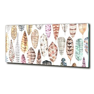 Glasbild Bunte Federn