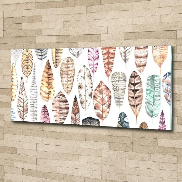 Glasbild Bunte Federn