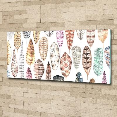 Glasbild Bunte Federn