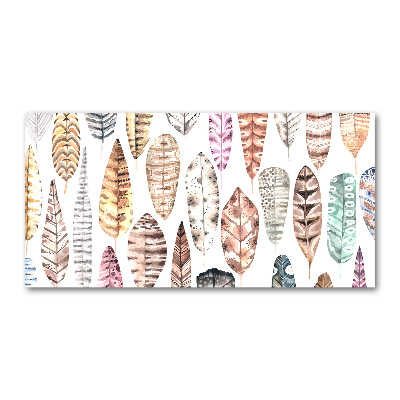 Glasbild Bunte Federn