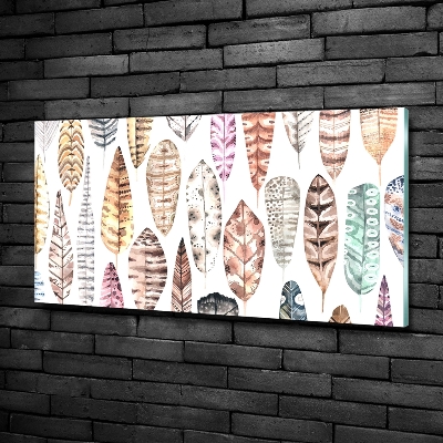 Glasbild Bunte Federn